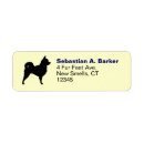 Search for chihuahua return address labels Long hair chihuahua