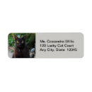 Search for black cat return address labels Animals