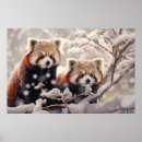 Search for red panda gifts Wild