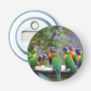 Recherche de perroquet ouvre bouteilles Coloré