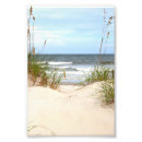 Recherche de avoine posters Photographie