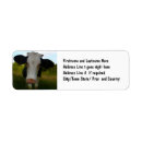 Search for ranching return address labels Farmer
