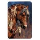 Recherche de pony magnete Sauvage