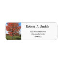 Search for maple tree return address labels Red
