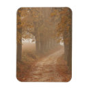 Recherche de cheminée magnets Arbres