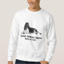 Search for english springer spaniel christmas clothing Dog