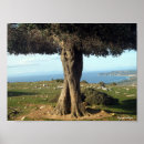 Search for olive tree posters Sea