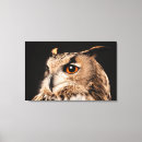 Search for big head art Wildlife