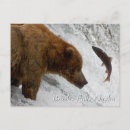 Search for action horizontal postcards Wildlife