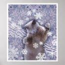 Search for cool cat posters Grey