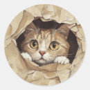 Search for playful kitten stickers Cat