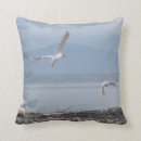 Search for seagull pillows Nature