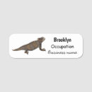 Search for name lizard Reptile