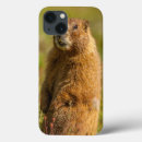 Search for gordon ipad cases Mammal
