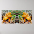 Search for mushroom posters Abstract