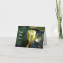 Recherche de jour save les photographie Fleur