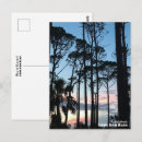 Search for bla postcards Florida