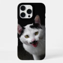 Search for cute moustache iphone cases Animal