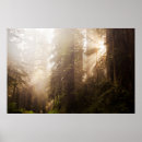 Search for sunrays posters Outdoors