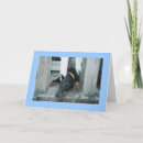 Search for doberman cards Animal