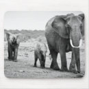 Recherche de kenya tapis souris Horizontal