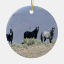 Search for mustang ornaments Desert