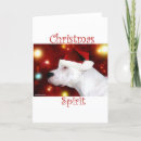 Search for argentine cards Dogo argentino