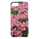 Search for dogwood iphone cases Blossoms