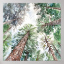 Recherche de pine forest posters Forêt de pins