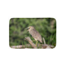Recherche de héron de nuit Animal