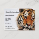 Recherche de tiger cartes visite Animal