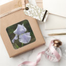 Search for blue iris stickers Photography