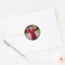 Search for cute preschool graduation stickers Graduate