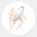 Search for parakeet stickers Budgie