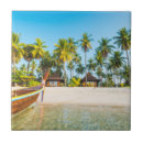 Recherche de longue carreaux Palmier