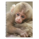 Recherche de singe mignon carnets Primate