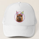 Search for alpacas hats Funny