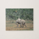 Search for south africa puzzles Nature