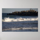 Search for surfboard posters Waves