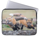 Search for pups electronics Nature
