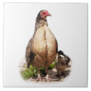 Search for chicken tiles Retro