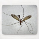 Search for flying insect mousepads Insects