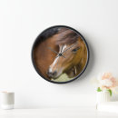 Recherche de colt horloges Mare