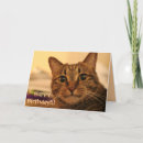 Search for tabby cat birthday cards Kitty