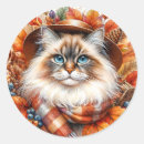Search for fall cats stickers Kitty