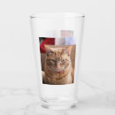 Search for fat cat mugs Orange