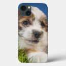 Search for copy space ipad cases Colour image