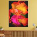 Search for orange orchid posters Pink