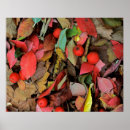 Search for medium format posters Ie