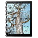 Search for deciduous trees Nature